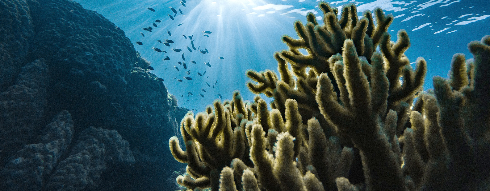 EVO厅中水回用、陶瓷膜、石墨烯膜、黑金膜公家号，迎接您扫码关注！