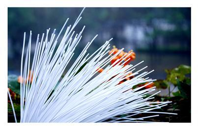 EVO厅·(中国区)视讯官网